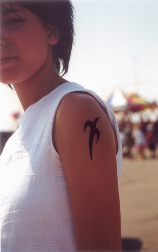 tatucord004549.jpg