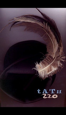 tatucord001644.jpg