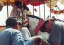 tatucord002862.jpg
